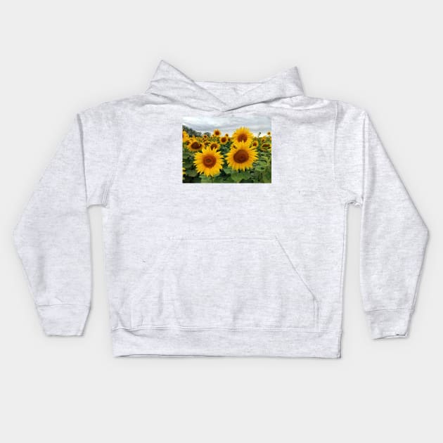 A sunflower field Kids Hoodie by Gourmetkater